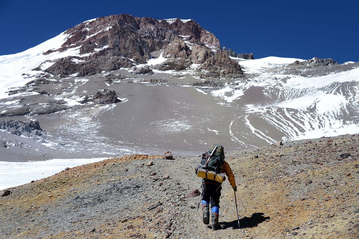 02 Inka Expediciones Guide Agustin Aramayo Leads The Way Out Of Camp 2 With Aconcagua North Face On The Way To Aconcagua Camp 3 Colera